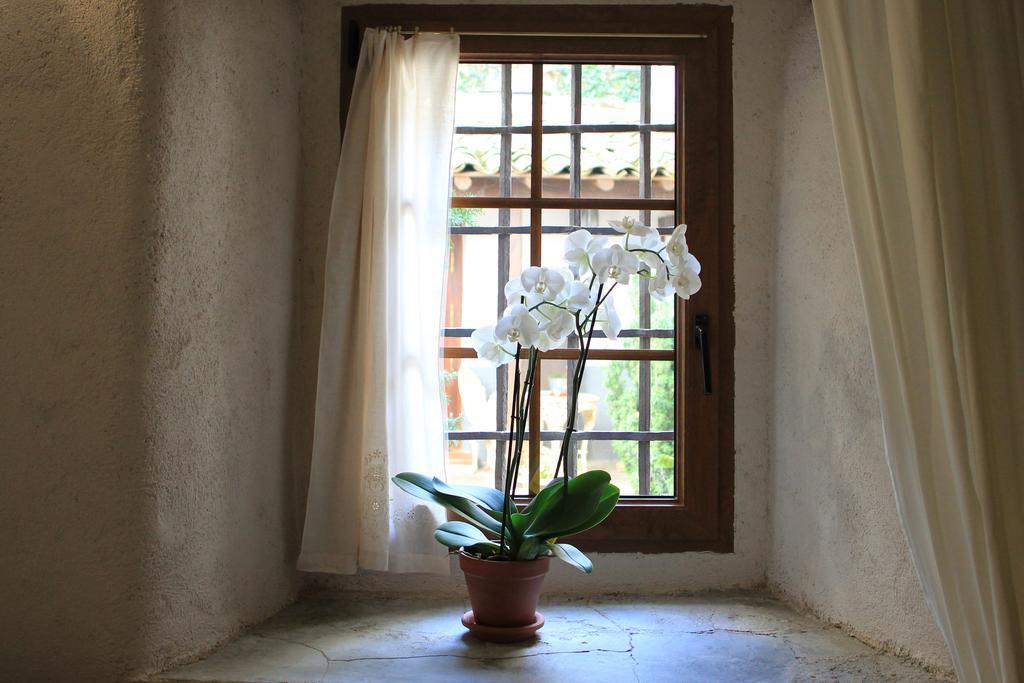 Posada Restaurante Casa De La Sal カンデラリオ エクステリア 写真